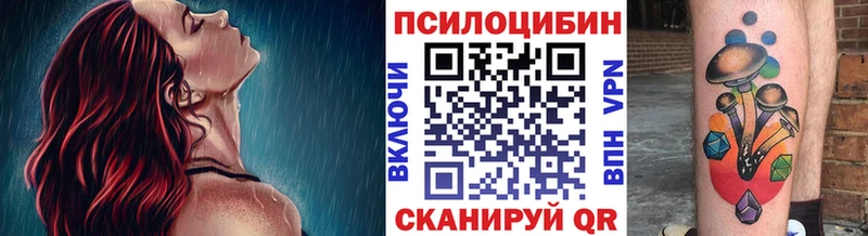 Псилоцибиновые грибы Psilocybe  Сольвычегодск 